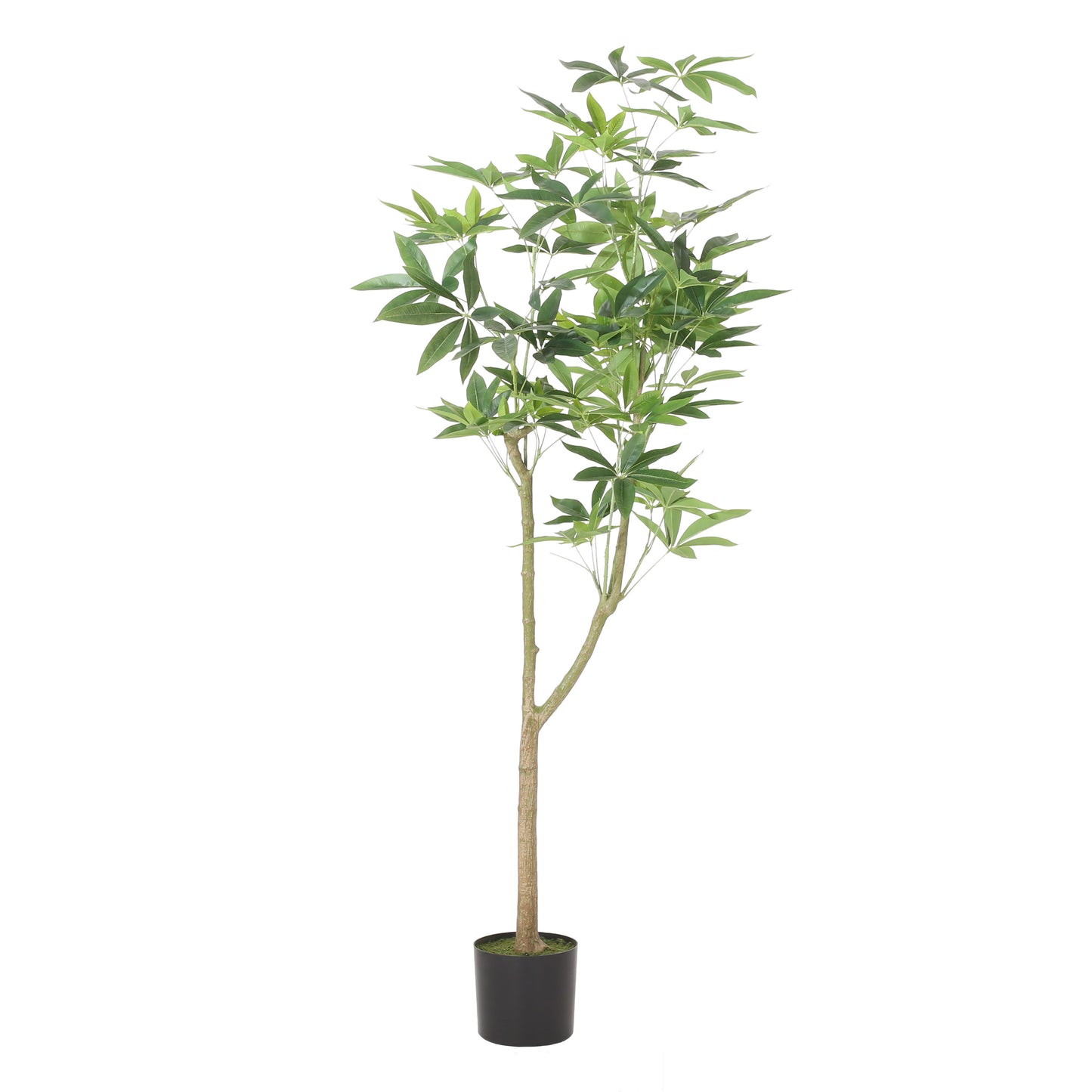180CM ARTIFICIAL LARGE FRUIT PACHILA